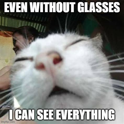 cat squinting meme|cat squinting one eye meme.